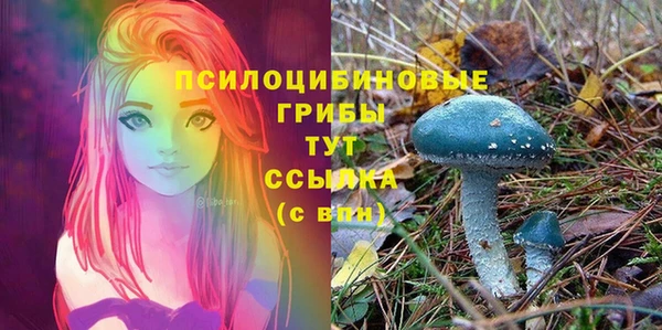 ГАЛЛЮЦИНОГЕННЫЕ ГРИБЫ Мегион