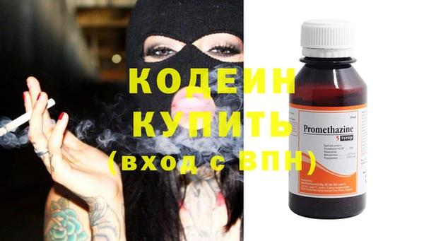 шишки Богданович