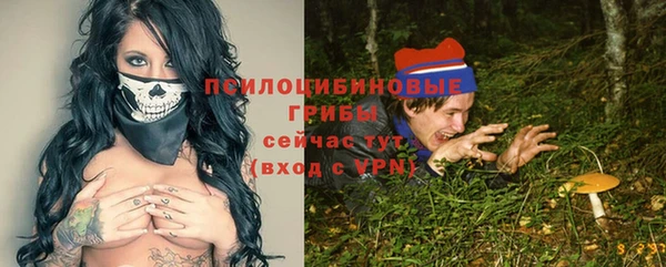 PSILOCYBIN Михайловск